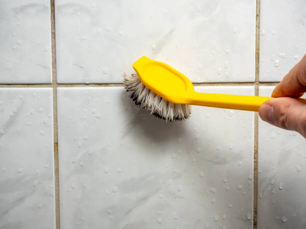 Professional Mold Remediation in Pennville, PA